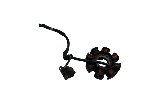 Statore alternatore magnete - statore,