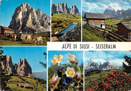 Cartolina alpe siusi vedute - cartolina, di