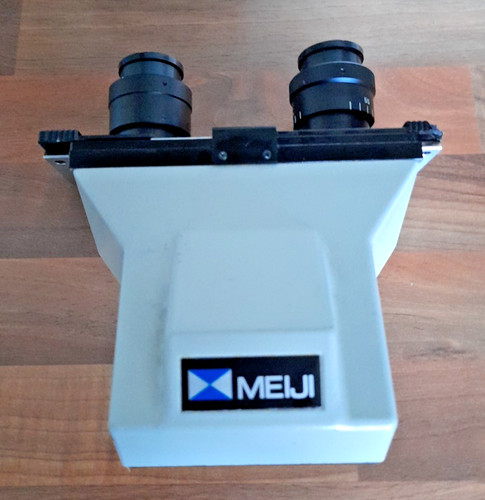 Testina per microscopio