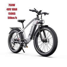 Mountain bike elettrica 750W