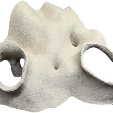 Angolo Acquario Terrario