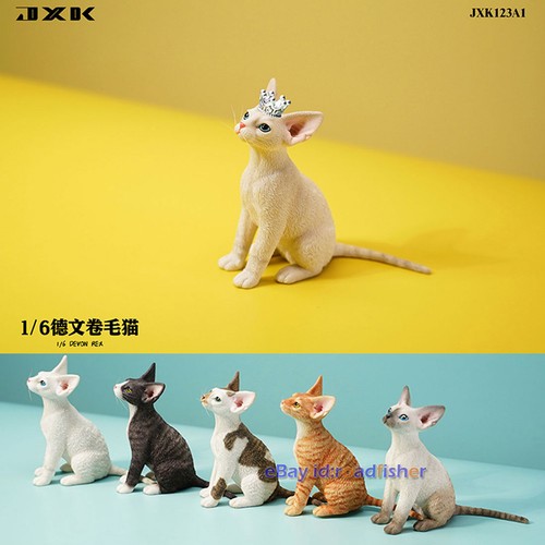 Modellino jxk devon rex - modellino, 1/6
