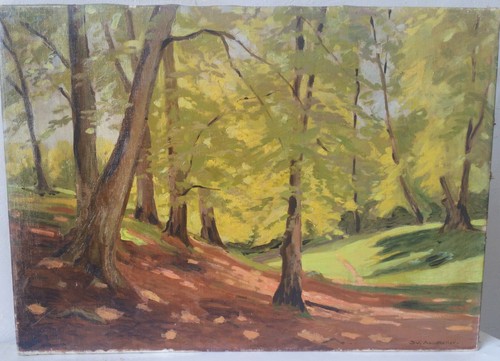 Dipinto con parco - parco, e