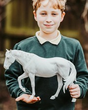 Rattlensake - cavallo modello