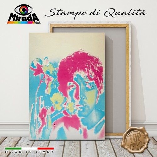 Quadro paul mccartney - quadro, the