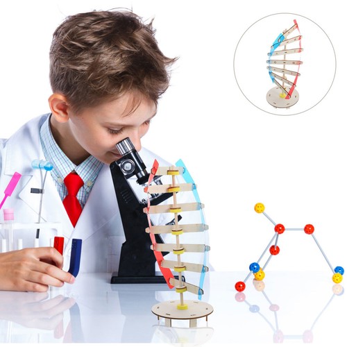 Modelli dna plastica - dna,