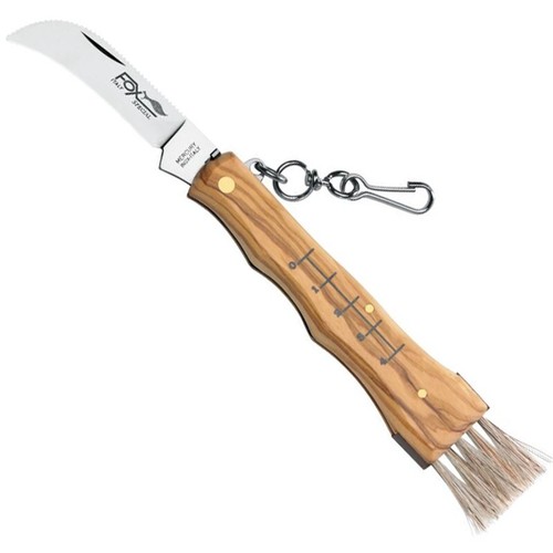 Coltello chiudibile per - , funghi