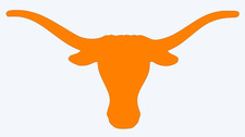 Texas Longhorns Vinyl Decal