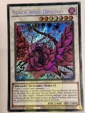 Drago Rosa Nera / Black Rose