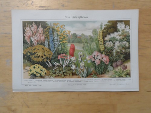 Orig cromolitografia - orig.(1908),