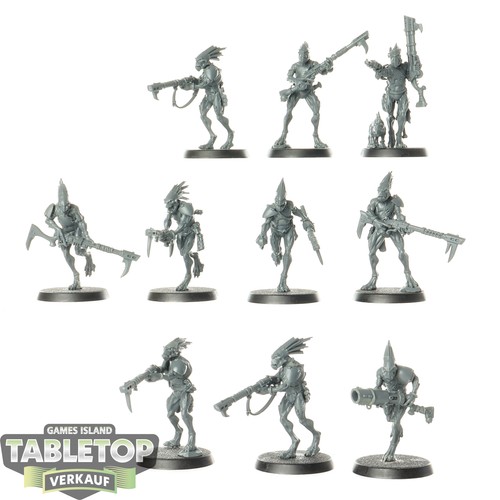 Tau empire 10x kroot - 10x,