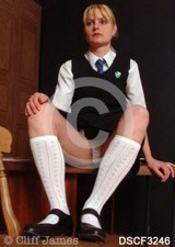 Professionally Taken Photo of