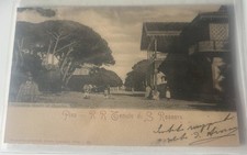 Cartolina Di San Rossore Gombo Pisa Animata Viaggiata Fp