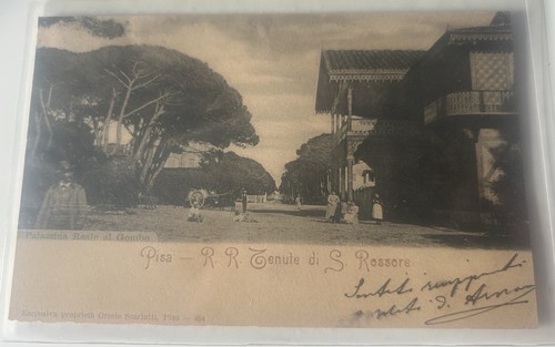 Cartolina san rossore gombo - san,