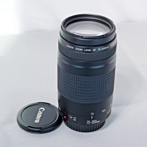 Canon 300 4 - ef, 75-300