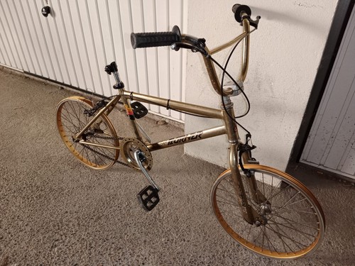 Raleigh super burner gold - super,