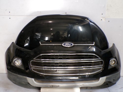 15169 musata anteriore - anteriore, ford