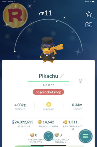Shiny pikachu blue googles - shiny,