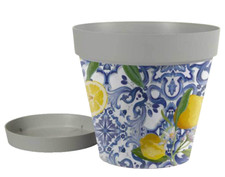 VASO PIANTE GRASSE FIORI SEMI