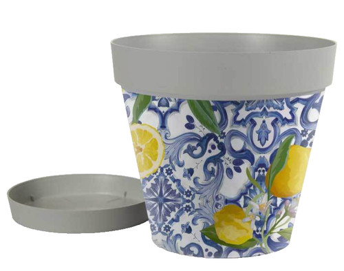 Vaso piante grasse - fiori, semi