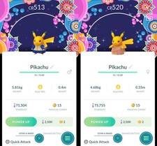 Shiny Pikachu Kurta Saree
