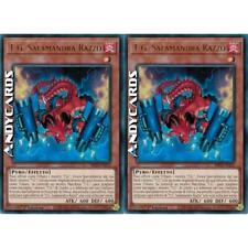 T.G. SALAMANDRA RAZZO 2x •