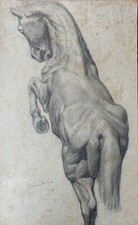 Disegno Di Matita Di Friedrich Westphal Di Cavalli In Riva 37,8 X 23,6 Cm