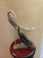 Uccelli In corno di bue