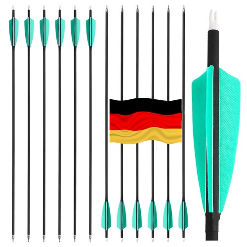 Frecce carbonio sp500 - 12,