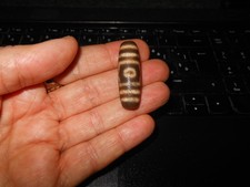 n. 75 - Pelle di tigre - Tre