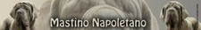 MASTINO NAPOLETANO Sticker