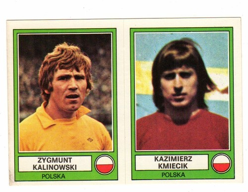 Figurina calciatori panini - figurina,