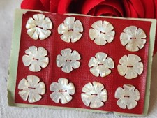 Rara Piccola Placca Bottoni Antichi IN Madreperla 1,4 CM Lotto Di 12 N° 23