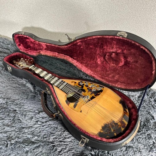 Rarissimo mandolino vintage
