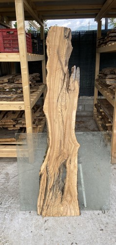Tavola legno ulivo - tavola, di