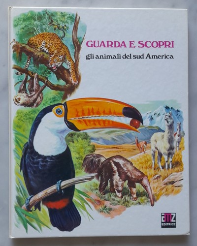 Editrice amz guarda - editrice, scopri