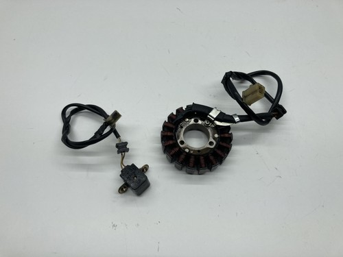 Statore alternatore magnete - statore,