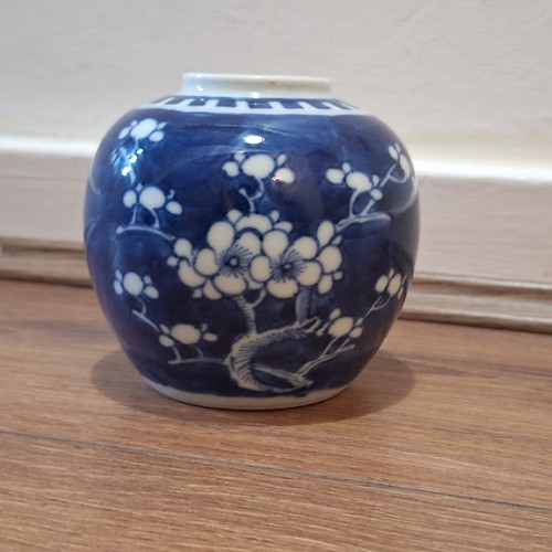 Vaso zenzero albero fiori - , di