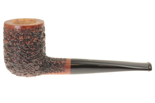Pipa bltp1958 rusticata - -,