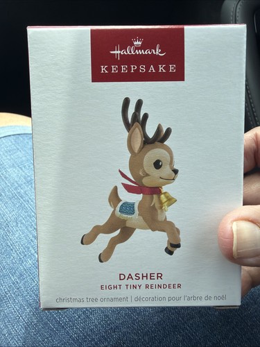 Nuovo 2025 hallmark dasher - nuovo,