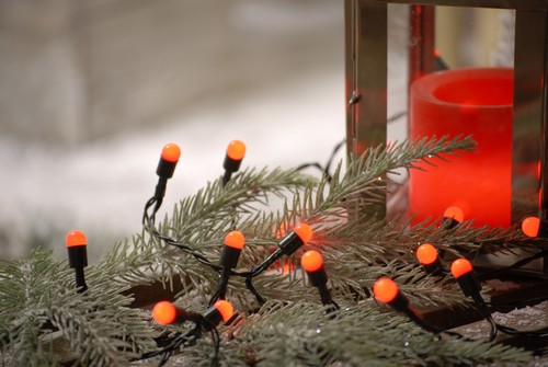 Fata natale bacche rosse - di,