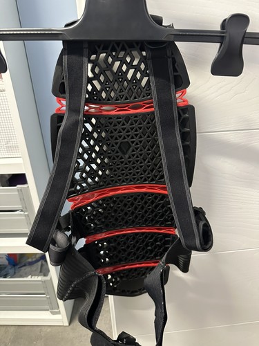 Paraschiena dainese moto - dainese,