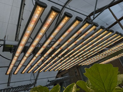 720 watt led grow light - led,