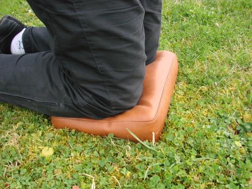 Cuscino giardino - cuscino,