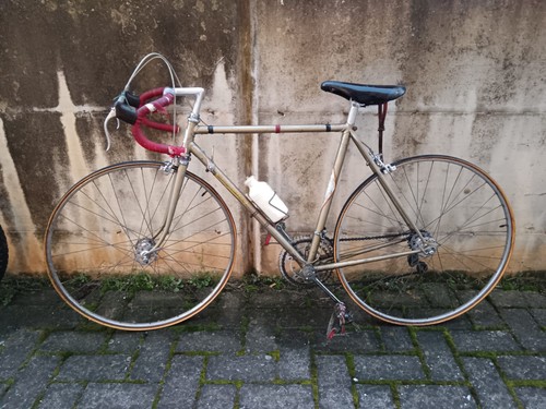 Bici bicicletta cicli - bici,