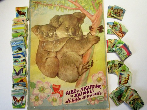 Animali tutto mondo - il,