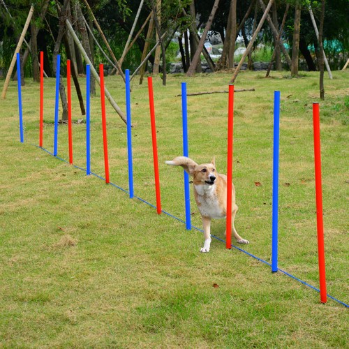 Pawhut pet agility set - agility,