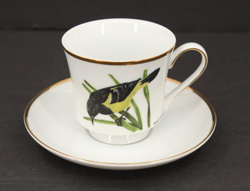 Berkeley house tazza - house,