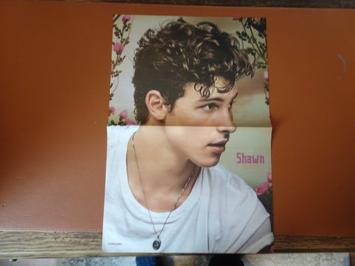 Popcorn poster shawn - popcorn,