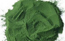 Spirulina pura in polvere
